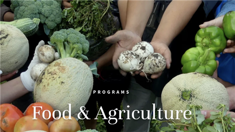 Group Banner Picture